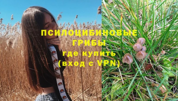 apvp Покровск