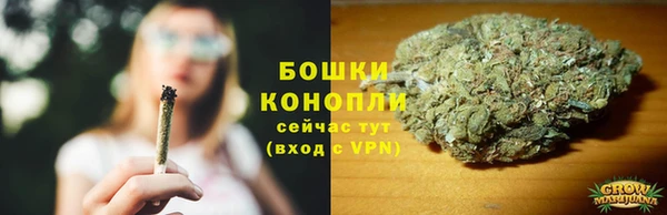 винт Пересвет