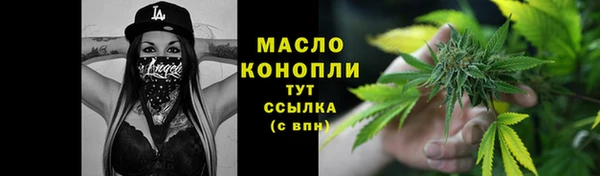 винт Пересвет
