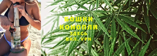 PSILOCYBIN Переславль-Залесский