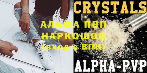 прущие грибы Покачи