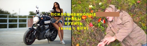 PSILOCYBIN Переславль-Залесский
