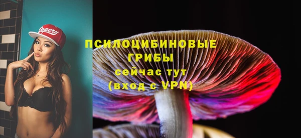 прущие грибы Покачи