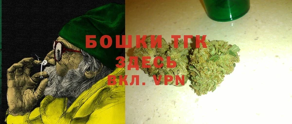 винт Пересвет