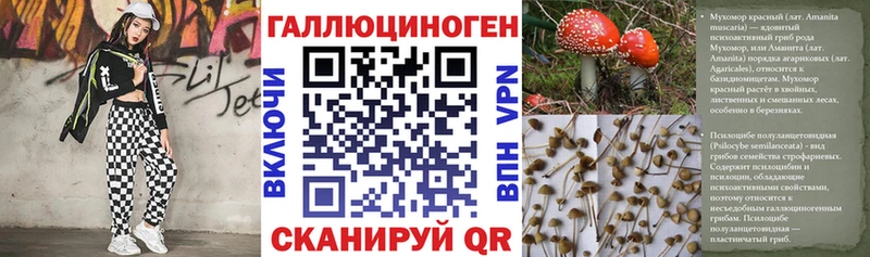 omg маркетплейс  Красноуральск  Галлюциногенные грибы Psilocybine cubensis 